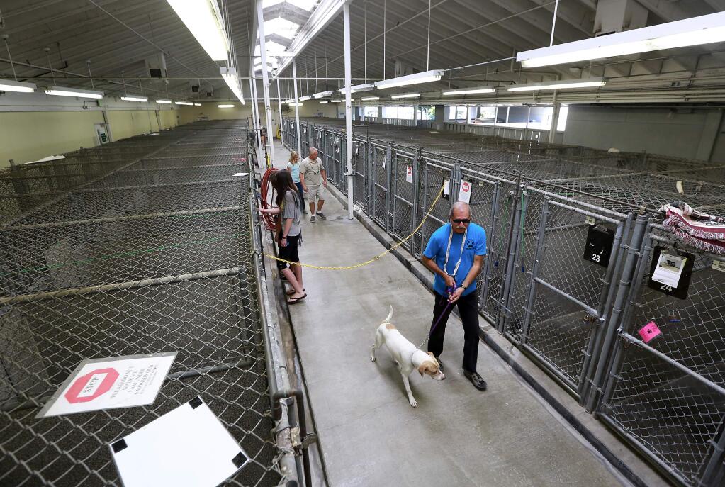 The main room for dogs at the Sonoma County animal shelter.
