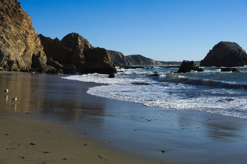 McClures Beach in Point Reyes National Seashore (Todd A. Merport / Shutterstock)