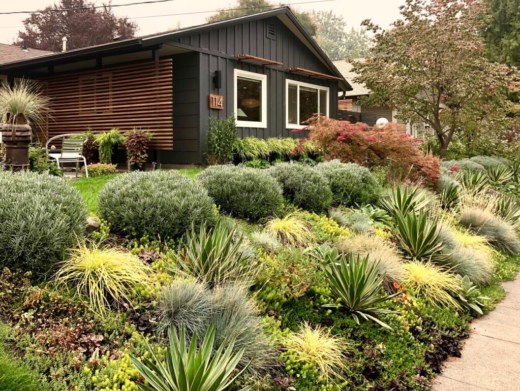 A low-maintenance, drought-tolerant garden in Washington state includes low-growing succulents, grasses and yucca. (Kate Frey)