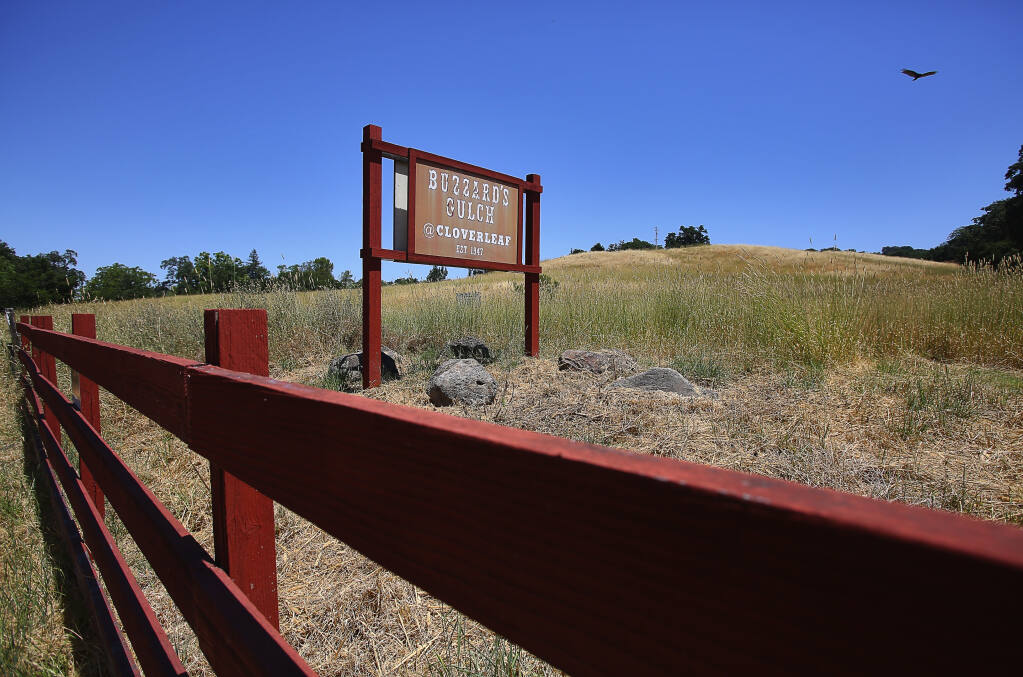 The view of the old Buzzard's Gulch property from Old Redwood Highway in Santa Rosa. (CHRISTOPHER CHUNG / The Press Democrat, 2017)