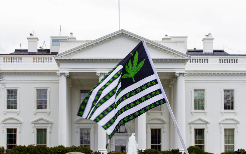 FILE - A demonstrator waves a flag with marijuana leaves depicted on it during a protest calling for the legalization of marijuana, outside of the White House on April 2, 2016, in Washington. President Joe Biden is pardoning thousands of Americans convicted of “simple possession” of marijuana under federal law, as his administration takes a dramatic step toward decriminalizing the drug and addressing charging practices that disproportionately impact people of color. (AP Photo/Jose Luis Magana, File)
