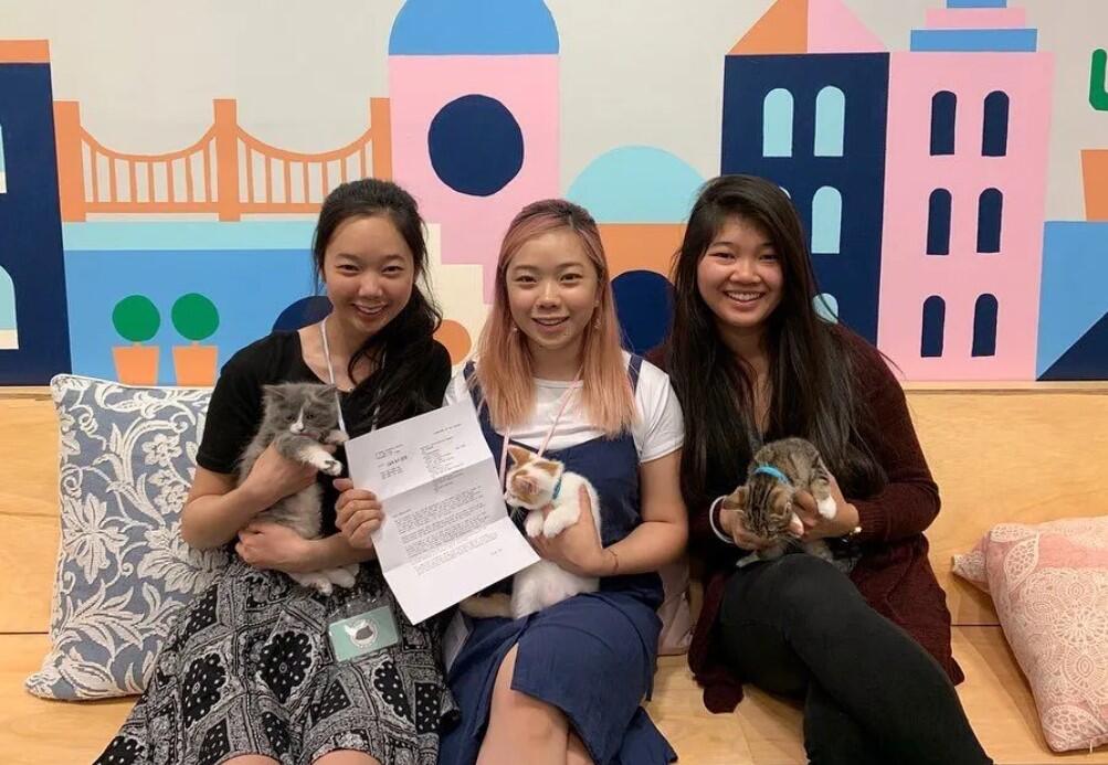 Mini Cat Town Co-founders Thi (left), Tram and Thoa Bui started rescuing stray and feral kittens in their neighborhood in San Jose. (Photo courtesy of Mini Cat Town)