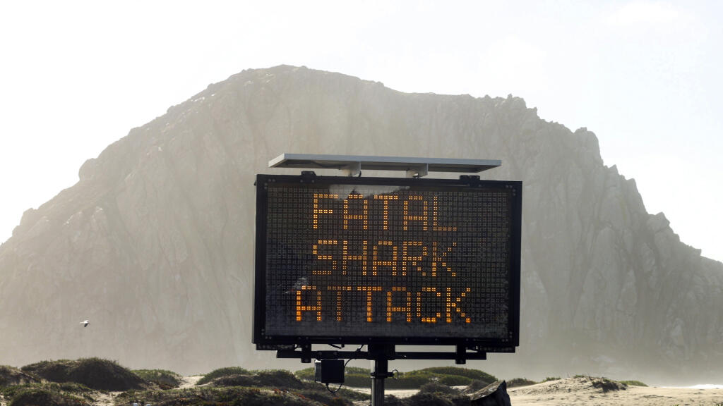 A sign advises about a shark attack Friday, Dec. 24, 2021 in Morro Bay, Calif. A surfer was killed in an apparent shark attack on Christmas Eve off the central coast of California, authorities said. (David Middlecamp/The Tribune (of San Luis Obispo) via AP)