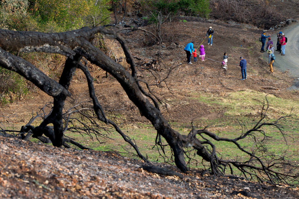 Participants in a fire ecology forensics hike collect plant regeneration data in the Glass Fire burn scar at Sugarloaf Ridge State Park in Kenwood, California, on Saturday, Dec. 5, 2020. (Alvin A.H. Jornada / The Press Democrat)