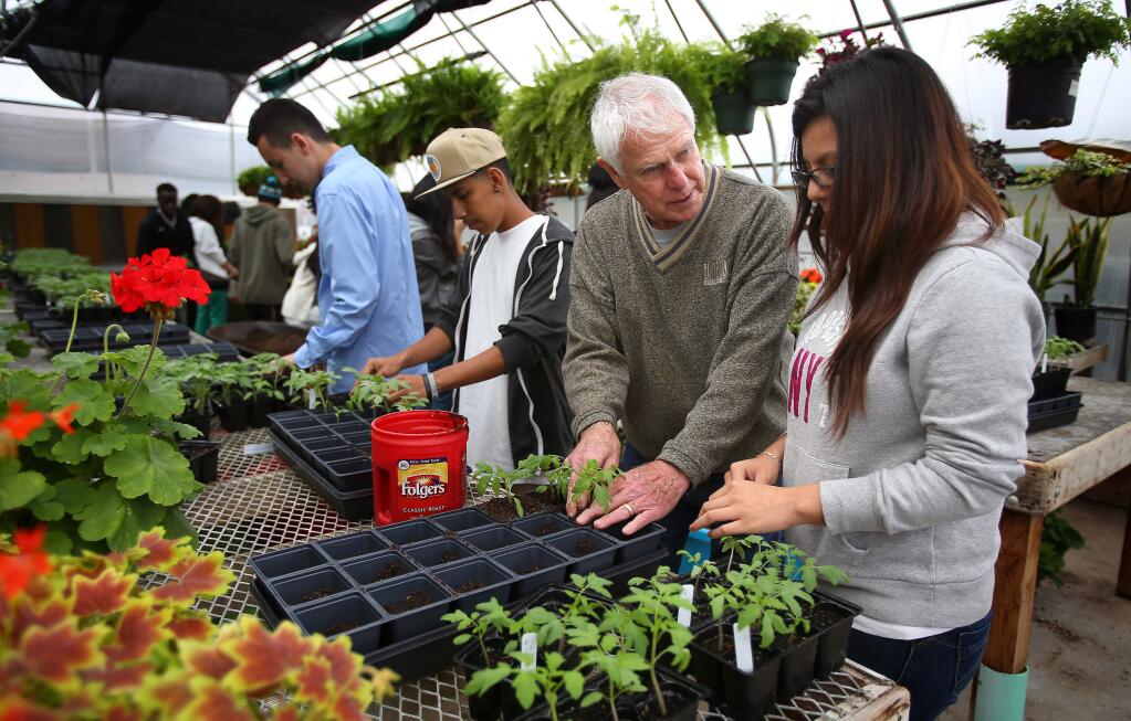 The Santa Rosa Men's Garden Club holds its annual spring plant sale this weekend with many starts they planted themselves.Here club members help horticulture students at Santa Rosa Junior College transplant tomato starts in 2014. (Christopher Chung / The Press Democrat)