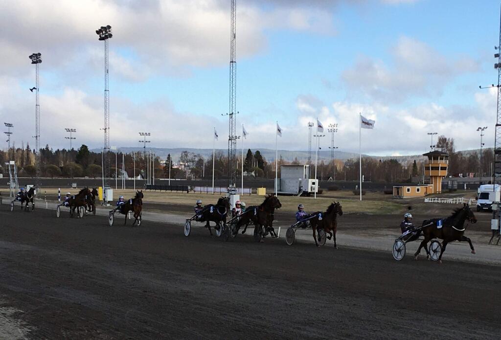 In this photo taken on Thursday, April 30, 2020, horse race at the Bergsaker racecourse in Vasternorrland, Sweden. Swedish trotting is one of only a handful of European sports to have persevered during the coronavirus outbreak while competitions elsewhere shut down across the continent. That's not just good news for the 40,000 people working in the equestrian sector in Sweden. It's something of a savior for betting companies and gamblers around the world who have been starved of their usual diet of top-class sport in Europe. (AP Photo/Steve Douglas)