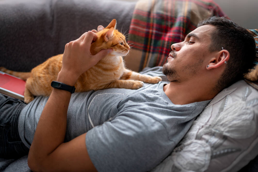Couple struggle with cat’s declining health