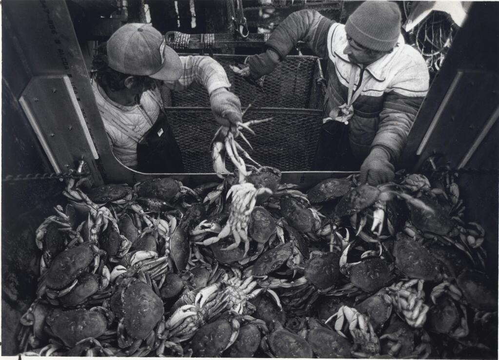 Fishermen Mike Pierini, left, and Fred O'Dell sort crabs into a cage to be lifted on to a dock from a holding tank on a boat on Nov. 14, 1990. The catch was about 1,200 pounds. (Kent Porter / The Press Democrat)
