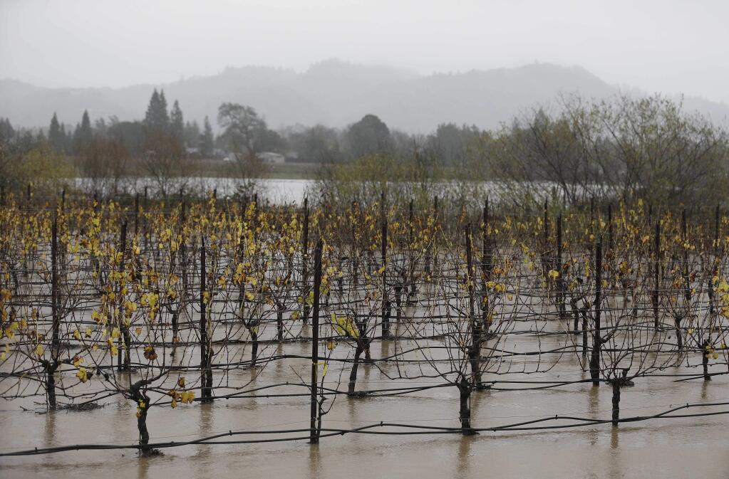 A vineyard is flooded along Highway 101 Thursday, Dec. 11, 2014, in Windsor, Calif., as a powerful storm churned through Northern California Thursday, knocking out power to tens of thousands and delaying commuters while soaking the region with much-needed rain. (AP Photo/Eric Risberg)
