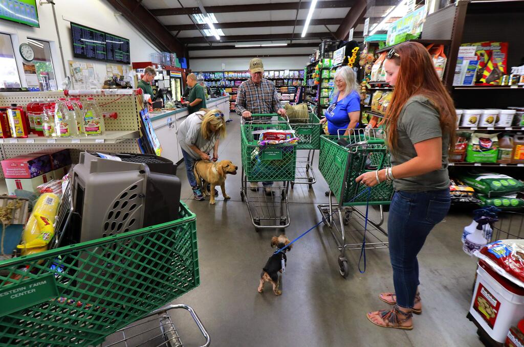 Customers weave their way through dogs investigating each other and the treat aisle at Wester Farm Center in Santa Rosa. (photo by John Burgess/The Press Democrat)