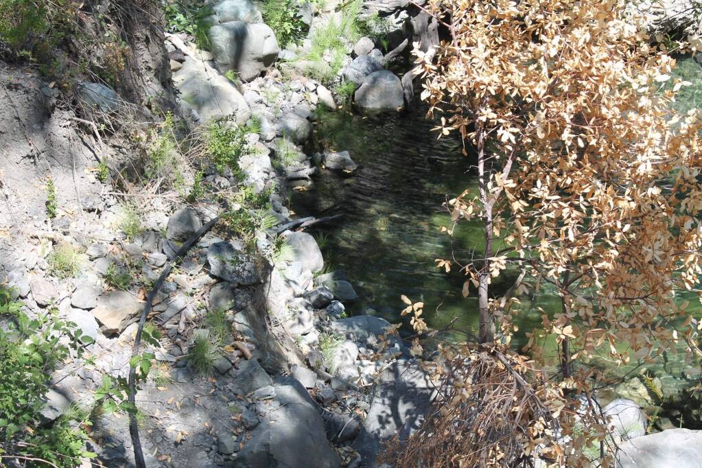 A four-day operation earlier this month in Mendocino County found illegal water diversions of nearby creeks and streams to irrigate illegal cannabis crops, as well as illegally dumped trash, fuel and pesticides. (MENDOCINO COUNTY SHERIFF'S OFFICE)