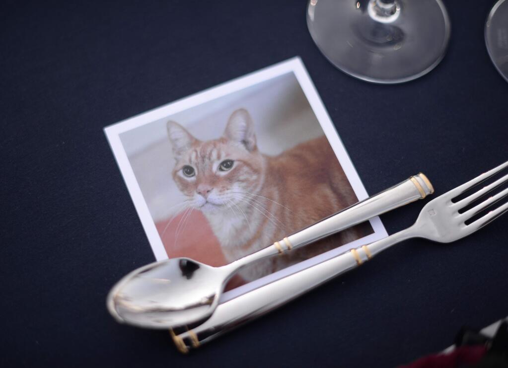 Each table setting greets the guest with a pet portrait at Wags, Whiskers & Wine Gala held Friday at Trentadue Winery in Geyserville, California. All proceeds benefit Human Society of Sonoma County. August 10, 2018.(Photo: Erik Castro/for The Press Democrat)