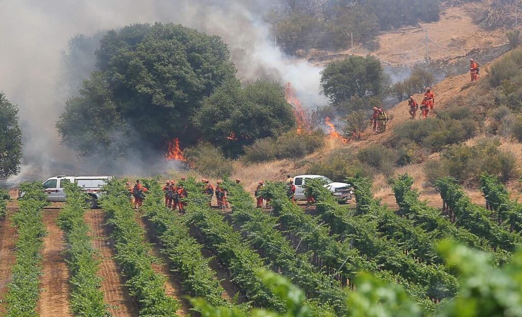 A hand crew sets a backfire next to Cache Creek Vineyards, east of Clearlake Oaks on Tuesday, June 26, 2018. (Christopher Chung/ The Press Democrat)