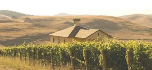 Azari Vineyards just southwest of Petaluma is one of the newer wineries established in the Petaluma Gap area. (Petaluma Gap Winegrowers Alliance)