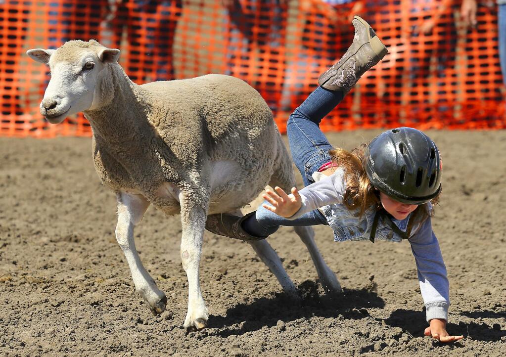 Breanne Guanella flies off her sheep but held on long enough to win the Mutton Bustin championship with a score of 81 during Farmers Day at the Sonoma County Fair. (JOHN BURGESS / The Press Democrat)
