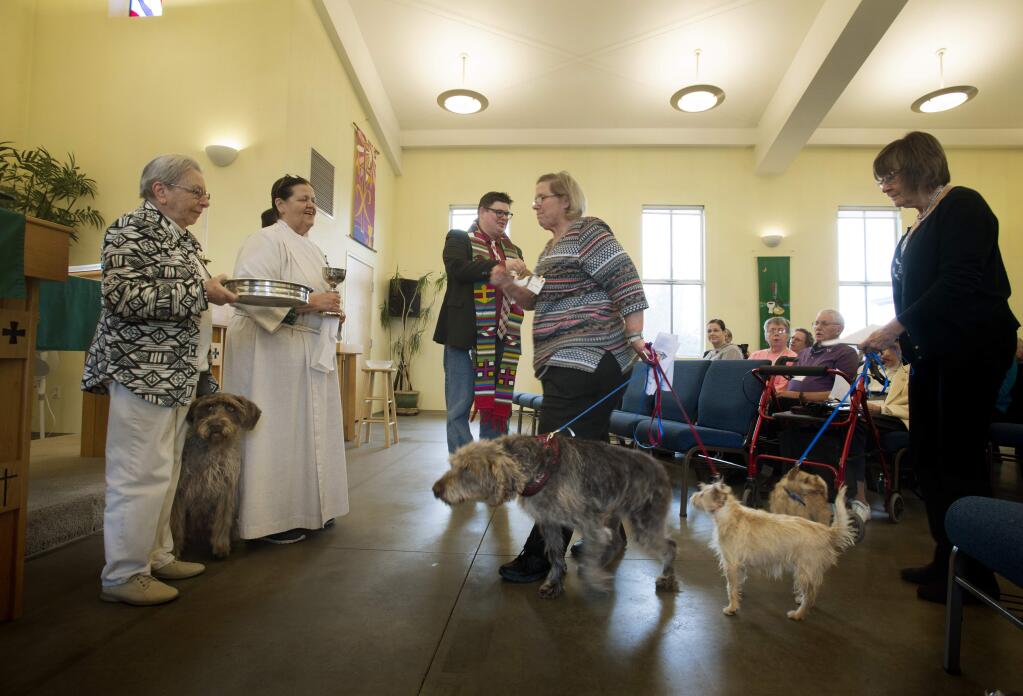 Church member Cindy Heiller, center, receiving the Eucharist and wine, along with her dogs, during a Sunday morning service at Thanksgiving Lutheran Church in Santa Rosa, California. The church allows members to bring their dogs to worship services. February 11, 2018.(Photo: Erik Castro/for The Press Democrat)
