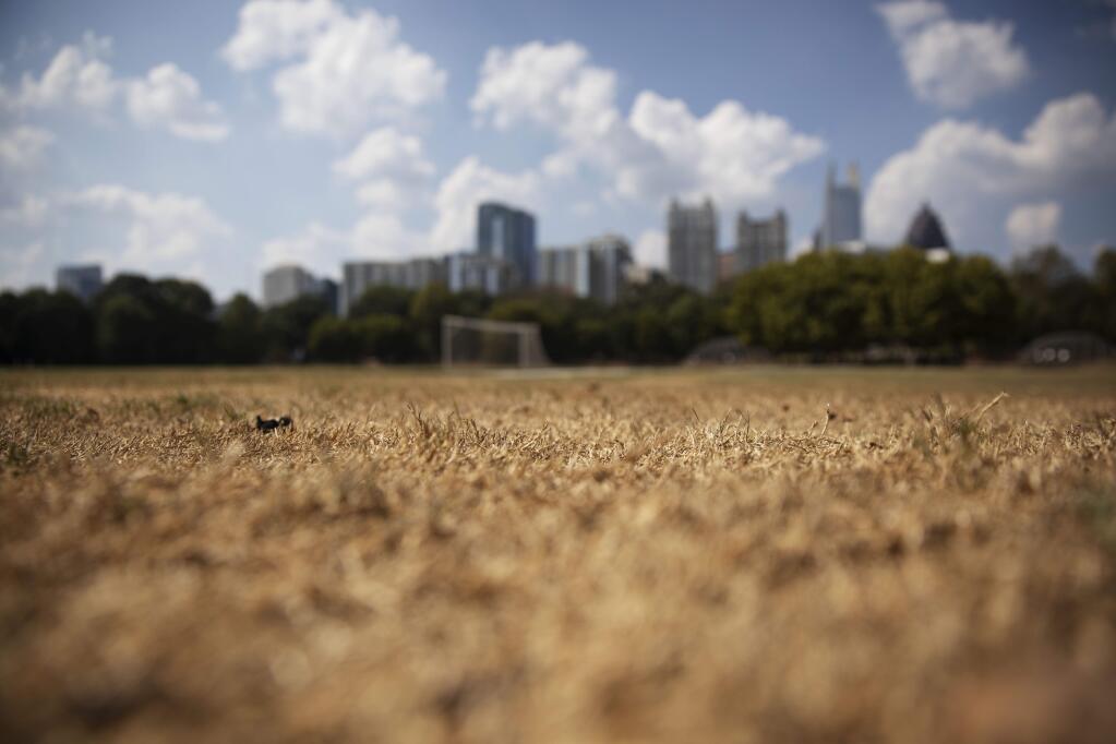 FILE - In this Oct. 3, 2019 file photo, dry grass from a lack of rain lays beneath the Midtown skyline in Atlanta. The chair of the two-week COP25 climate summit attended by nearly 200 countries warned at its opening Monday Dec. 2, 2019 that those refusing to adjust to the planet's rising temperatures 'will be on the wrong side of history.' (AP Photo/David Goldman, File)