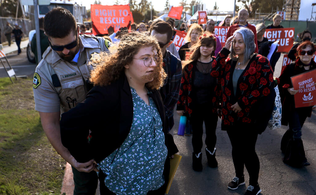 Animal welfare activist Zoe Rosenberg is arrested on a warrant by Sonoma County sheriff’s deputy Joel Auerbach, after a rally and subsequent march in response to the sentencing of animal welfare activist Wayne Hsiung in Sonoma County Superior Court in Santa Rosa, Thursday, Nov. 30, 2023. (Kent Porter / The Press Democrat)