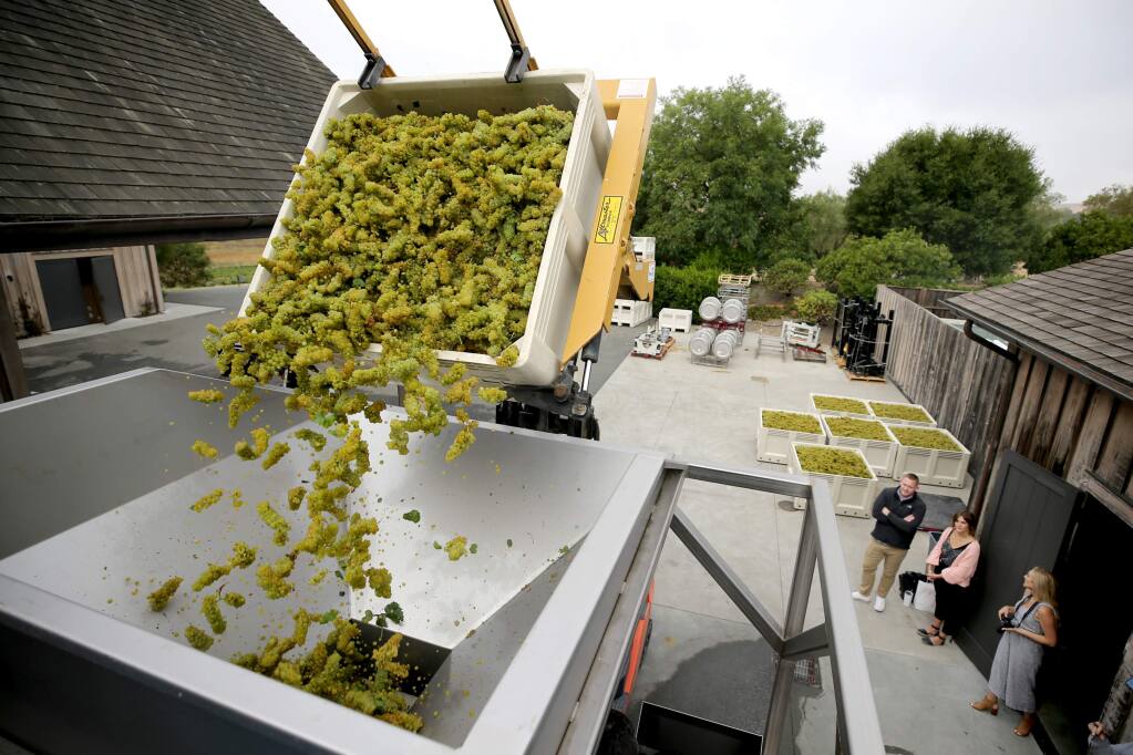 Employees crush the first round of chardonnay grapes as harvest gets underway at Ram's Gate Winery south of Sonoma on Tuesday, September 3, 2019. (BETH SCHLANKER/ The Press Democrat)