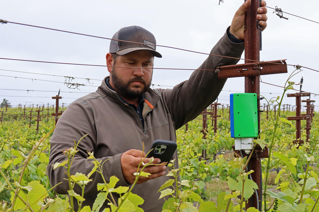 Riggs Lokka, the vineyard manager of Sebastopol’s Emeritus Vineyards, is using the Fire Map app. Launched in May,  the free app enables growers to monitor active fires within a 20-mile radius of any location in the world. (Emeritus Vineyards)