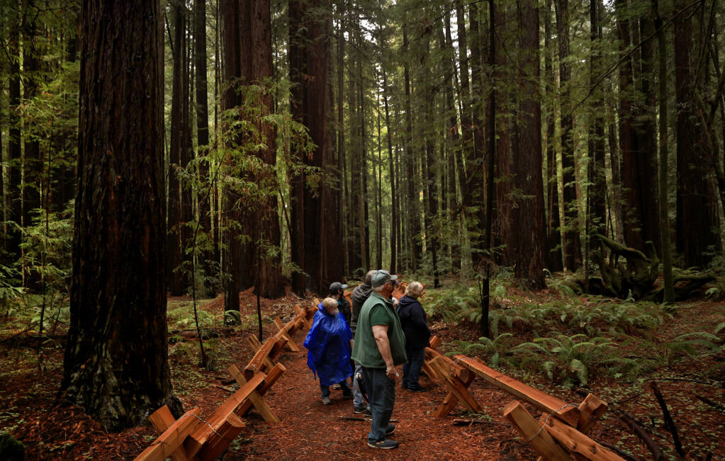 Docents in training get a layout of the land at Armstrong Redwoods State Natural Preserve in Guerneville, Saturday, Oct. 23, 2021.  The valley floor is set to reopen Oct. 29, a year after the Walbridge fire burned the park.  (Kent Porter / The Press Democrat) 2021