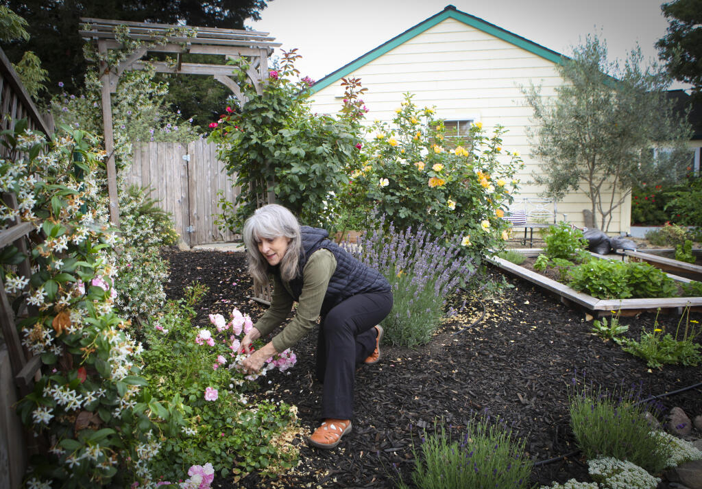 Jane Lott prunes plants in her garden. Her yard was mulched with the help from the nonprofit Daily Acts. In collaboration with the city of Petaluma, the organization is promoting “mulch madness” to help residents save water. (CRISSY PASCUAL/ARGUS-COURIER STAFF)