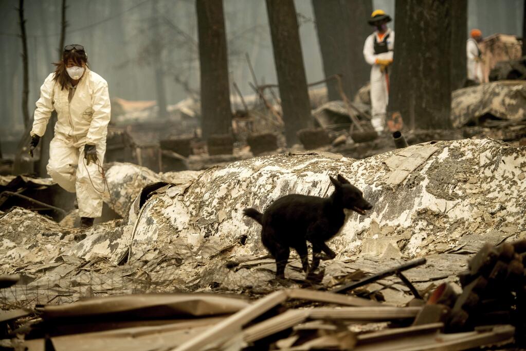 Search and rescue workers look for bodies of Camp Fire victims at the Holly Hills Mobile Estates on Wednesday, Nov. 14, 2018, in Paradise, Calif. (AP Photo/Noah Berger)