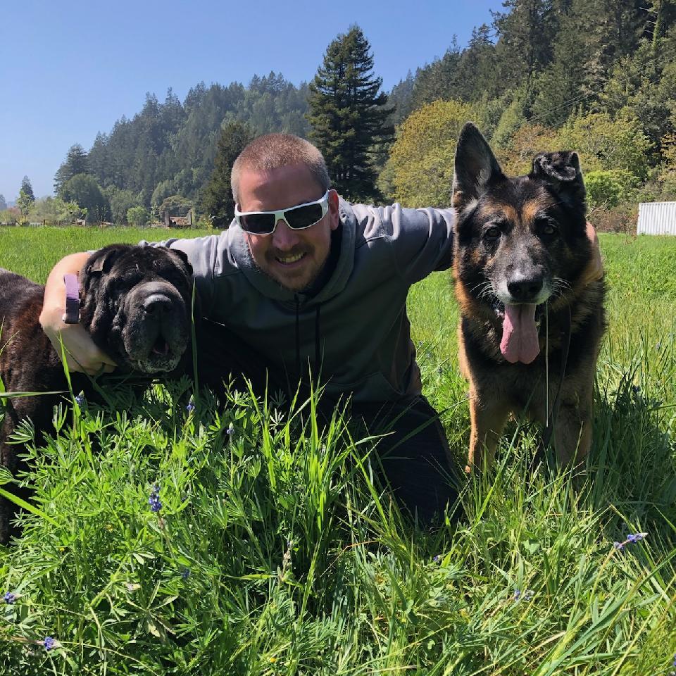 A new dog trainer, Nathan Rhodes, is offering his services in Sonoma.