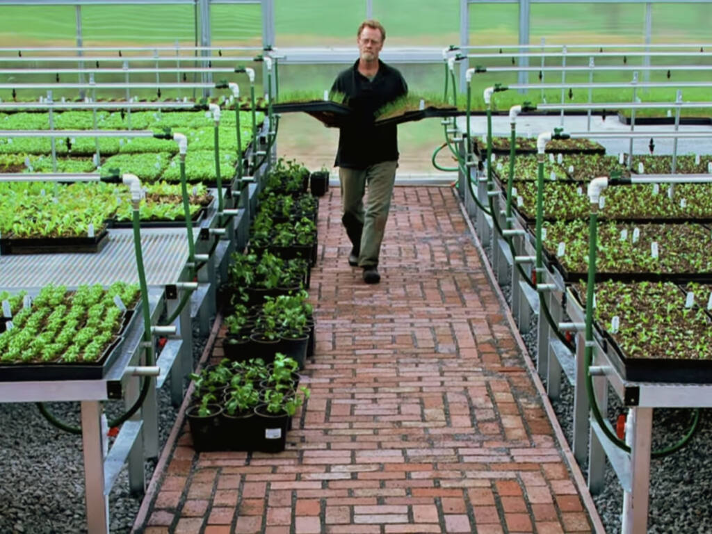 Doug Fosling garden manager at OAEC in the Greenhouse where all the garden sale plants start. ( Photo: OAEC - YouTube channel “OAEC Plant Sales - 100% California Certified Organic” video-Screen shot)