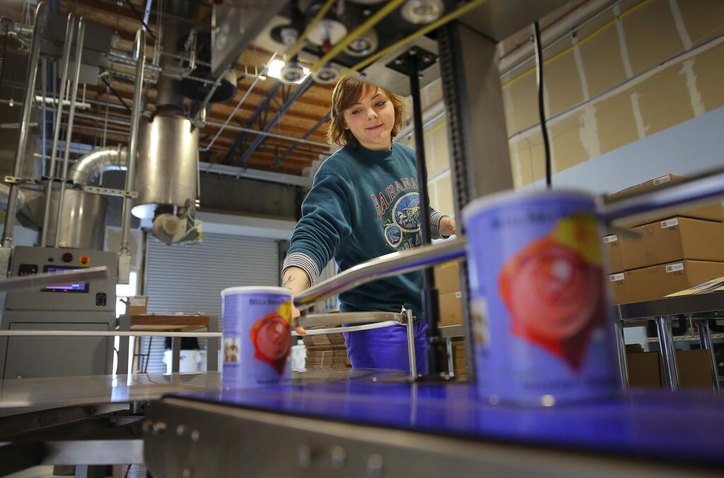 Lauren Lamke grabs cans of ground coffee off of the production line for packaging at Bella Rosa Coffee Company, in Santa Rosa, on Friday, March 4, 2016. (Christopher Chung/ The Press Democrat)