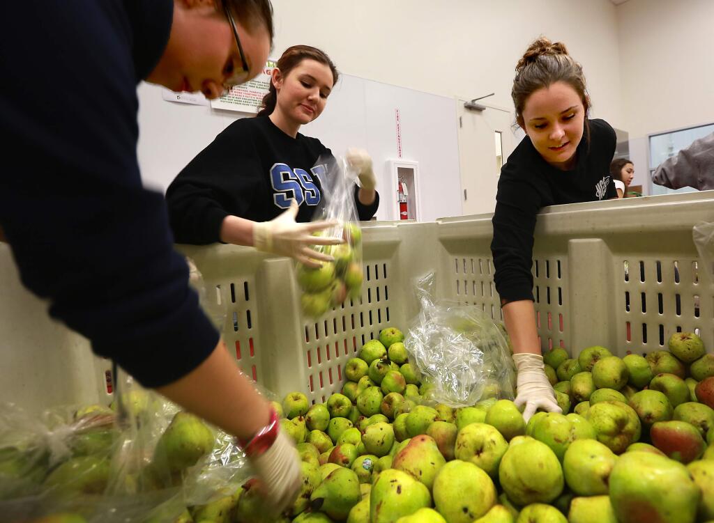 Sonoma State University JUMP club members (l to r) Jeannette Sandoval, Kayla Kring and Heather Smith pack gleaned pears at the Redwood Empire Food Bank in Santa Rosa on Friday, Nov. 7, 2014. (JOHN BURGESS/ PD)
