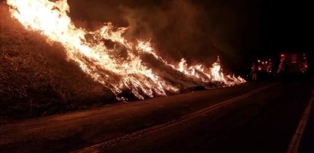 Petaluma firefighters battle the Kincade fire in Sonoma County. PETALUMA FIRE DEPARTMENT