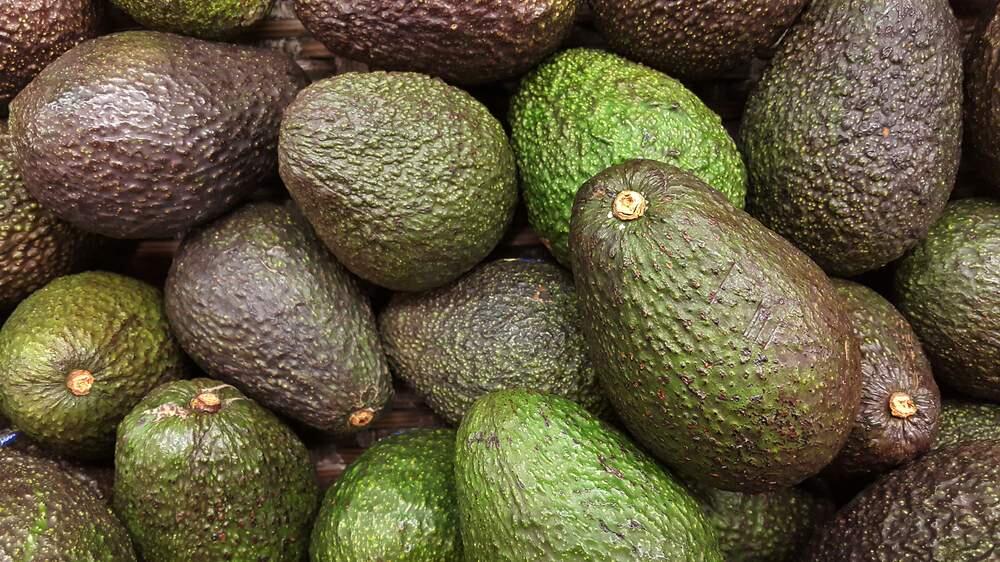 Holy guacamole! Some California avocados may have been contaminated with listeria.