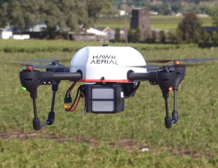 Hawk Aerial sells and operates SkySquirrel Aqweo unmanned aerial vehicles for vineyard imaging. This model carries SkySquirrels Quanta multispectral camera, seen mounted under the UAV's center module. (SKYSQUIRREL TECHNOLOGIES, 2014)