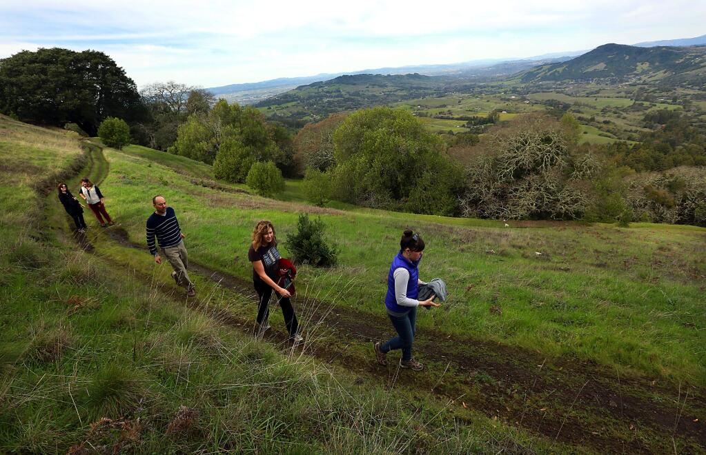 (r to l) Amy Richard, Caryl Hart, Bill Keene, Karen Davis-Brown, and Meda Freeman hike in the new North Sonoma Mountain Regional Park and Open Space Preserve with views overlooking Bennet north towards Santa Rosa. (Photo by John Burgess/The Press Democrat)
