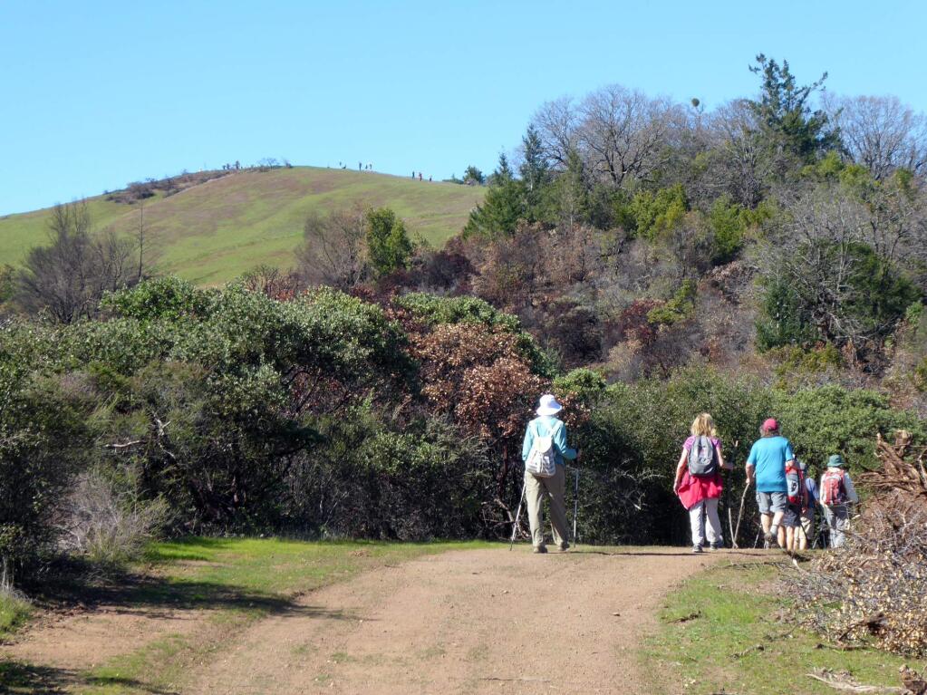 Hikers on the backroads and trails of Sugarloaf Ridge State Park in areas formerly closed by the October fires. Many trails in the park have reopened, and visitors can see the natural process of regeneration in action. (David Hough)