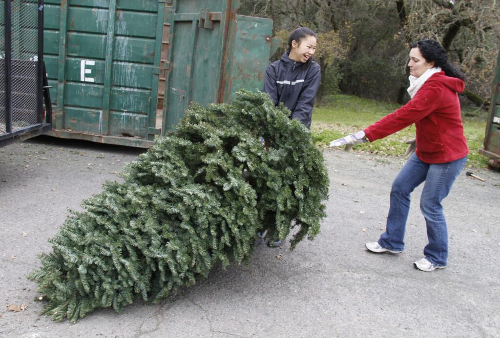 Girl Scout Faline Howard, left, and scout leader Cameron McKesson pull a discarded Christmas tree to a Dumpster last Saturday. The Girl Scouts are recycling christmas trees and are picking them up this Saturday, Jan. 7, and next, Saturday, Jan. 13. (Bill Hoban/Index-Tribune)