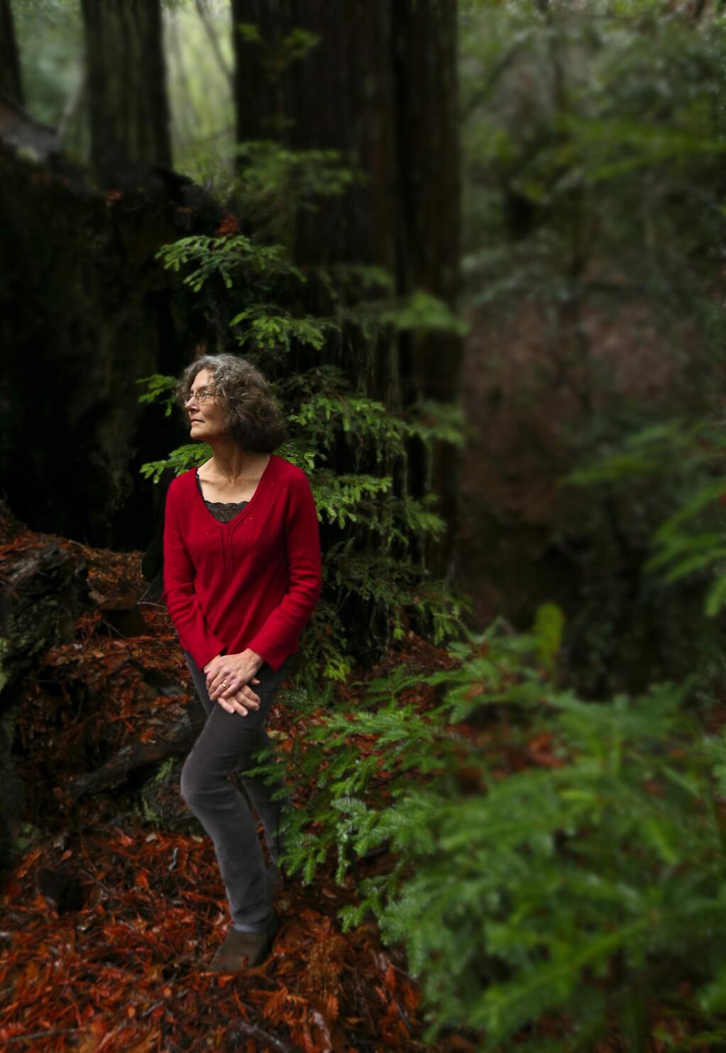 Healdsburg author Jean Hegland lives in the forest west of Healdsburg. Her first novel, 'Into the Forest,' has been made into a movie starring Ellen Page. (JOHN BURGESS / The Press Democrat)