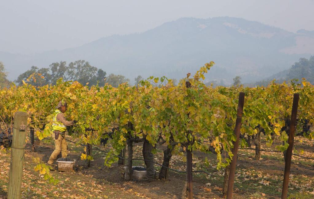 In 2018, smoke from the Camp Fire blanketed Kunde vineyards. (Photo by Robbi Pengelly/Index-Tribune)