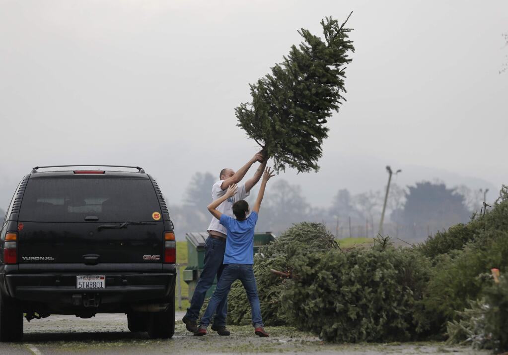 Jason Crosson instructs his son Jacob, 12, how to toss a Christmas tree off the top of their car for recycling at the Sonoma County Fairgrounds on Sunday, Jan. 3, 2016 in Santa Rosa. (BETH SCHLANKER/ The Press Democrat)