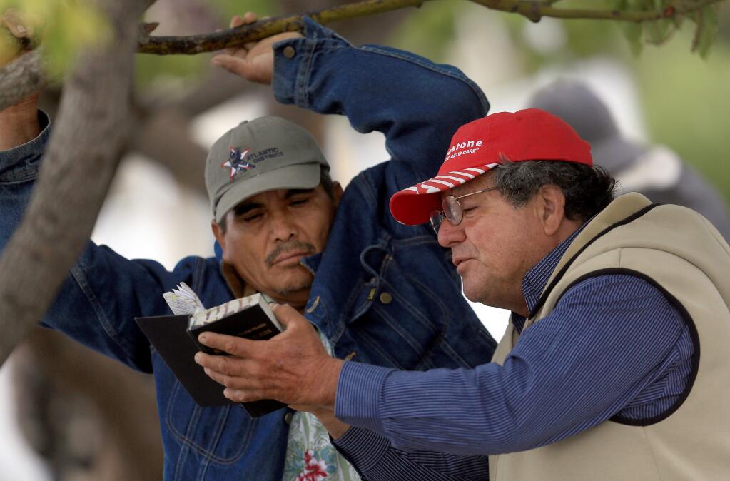 While waiting for work at Howard St. and Washington Ave. in Petaluma, Roberto Lojas Anaya reads the bible to a friend, Friday Aug. 29, 2014. (Kent Porter / Press Democrat) 2014
