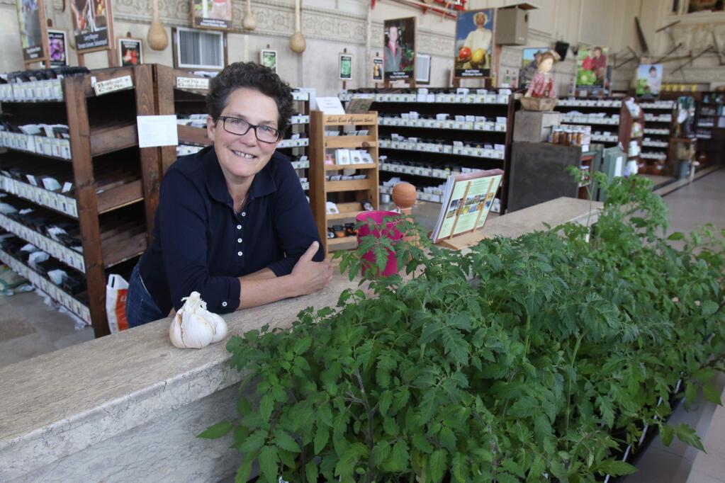 Maggie Hohle, one of the founding members of 'Veg-Curious' group that started at Aquas and has since moved to the Seed Bank at the Seed Bank in Petaluma on Thursday, May 12, 2016. (SCOTT MANCHESTER/ARGUS-COURIER STAFF)