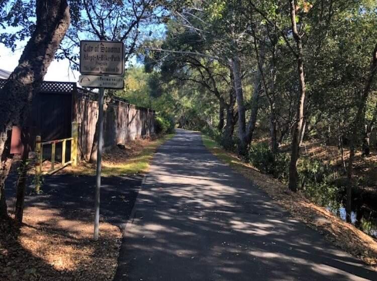 The stretch of the Fryer Creek path were the assault occured. Photo: Sonoma Sheriff