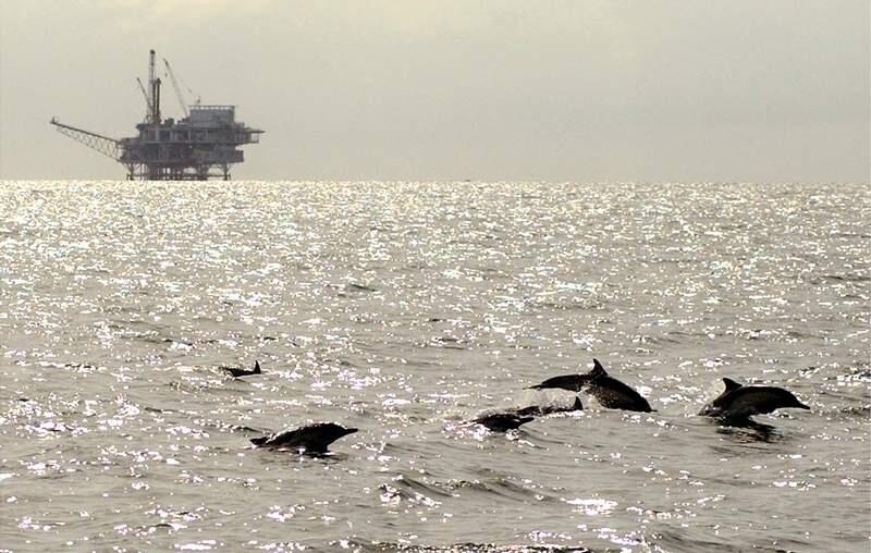 A pod of dolphins frolic in federal waters in the Santa Barbara Channel near oil platform Grace, off Ventura, Calif., in this file photo taken March 2, 2005. (AP Photo/Santa Barbara News-Press, Mike Eliason, File)