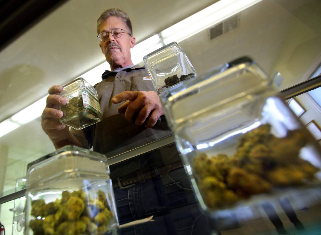 A cannabis shopper compares strains at the former Peace in Medicine dispensary in Santa Rosa, now one of two dispensaries run by Sparc in Sonoma County. (photo by John Burgess/The Press Democrat)