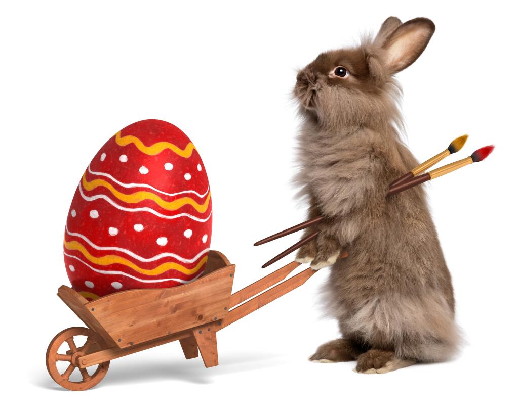 Let the rabbit do all the work this year – enjoy an Easter feast out in Sonoma.