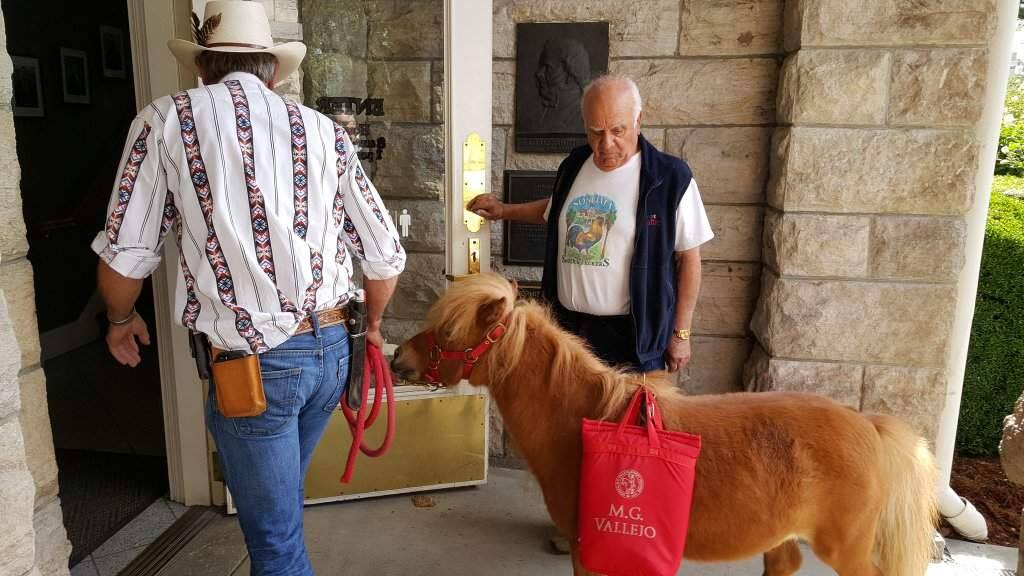 Opponents of Sonoma's pendng ban on gas leaf blowers deliver signatures via miniature horse Thursday to Sonoma City Hall. (Derek Moore/The Press Democrat)