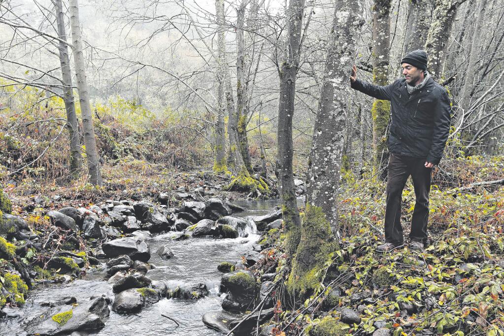 Sonoma County Agricultural Preservation and Open Space District general manager Bill Keene stands beside a branch of Mark West Creek at the 47-acre proposed site of the Mark West Regional Park and Open Space Preserve in Santa Rosa, California on Thursday, December 8, 2016. (Alvin Jornada / The Press Democrat)