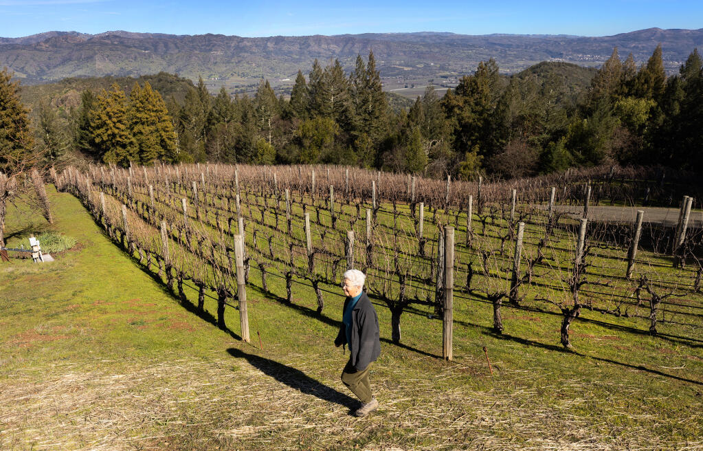 Retired UC Davis professor and grape geneticist Carole Meredith in her hilltop Langier Meredith Vineyard overlooking the Napa Valley, Wednesday, March 1, 2023. (John Burgess / The Press Democrat)