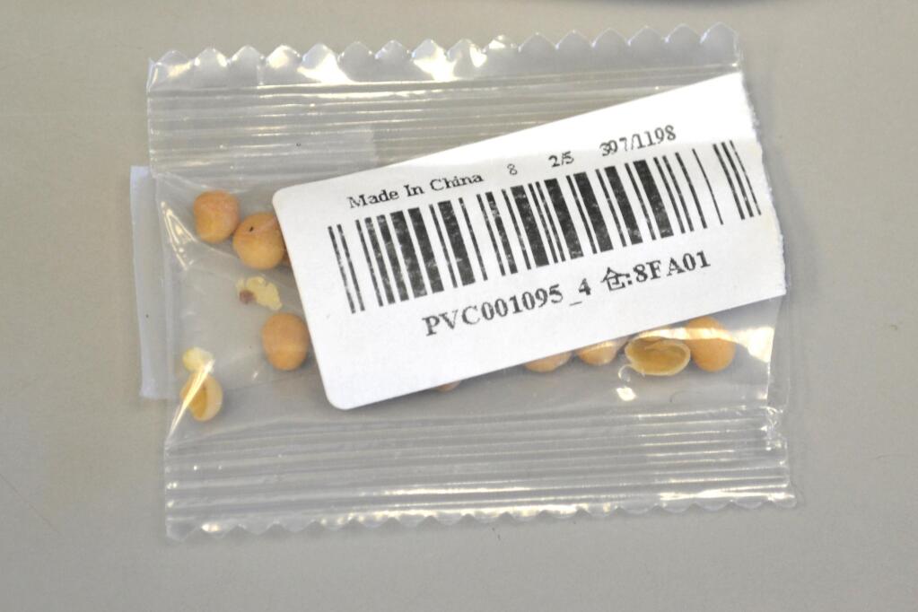This package of seeds sent unsolicited to a resident in the U.S. has been identified as Rhus, Anacardiaceae, a genus of shrub common to North America. Sonoma resident Alyssa Conder received a packet of unidentified seeds, as part of what’s believed to be a ’brushing’ scam to boost online sales. USDA Photo